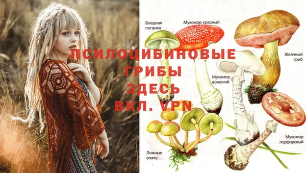 дурь Алексеевка